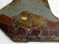 TATANKA - Close Up