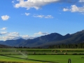 Coys Dutch Creek Ranch Irrigation 2016 07 04 IMG_8421 pic