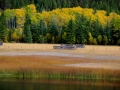 Colorful Homestead Memories - South of Canal Flats BC 2013 10 02 IMG_5909
