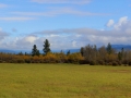 Fall Pasture Near Wasa BC 2013 10 02 IMG_5767