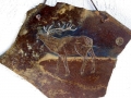 BUGLING ELK - Close Up