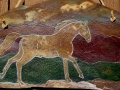 DESERT DANCER - Horse - Close Up
